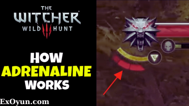 Witcher 3 Adrenalin Puanı Nedir? Oyun İçindeki Amacı ve Önemi